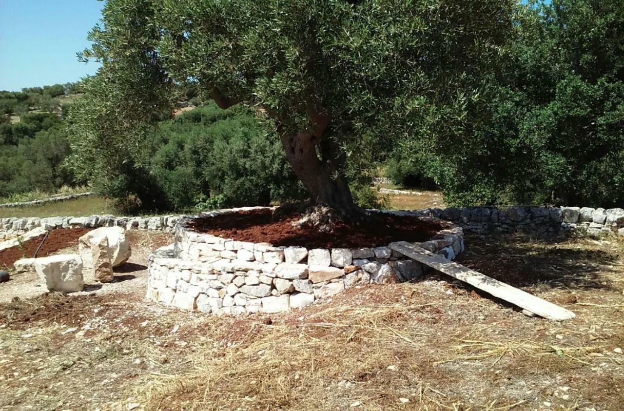 Вилла Trullo Alto Salento Чистернино Экстерьер фото